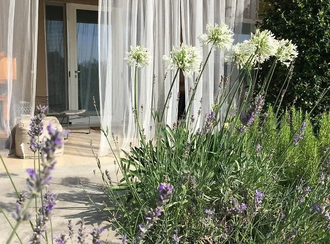 Panorama Cinque Bed & Breakfast