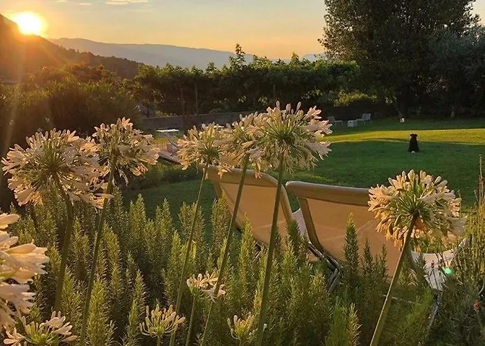 Bed & Breakfast Panorama Cinque 3*