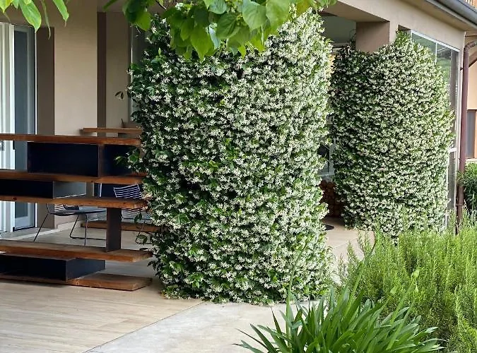 Bed & Breakfast Panorama Cinque 3*